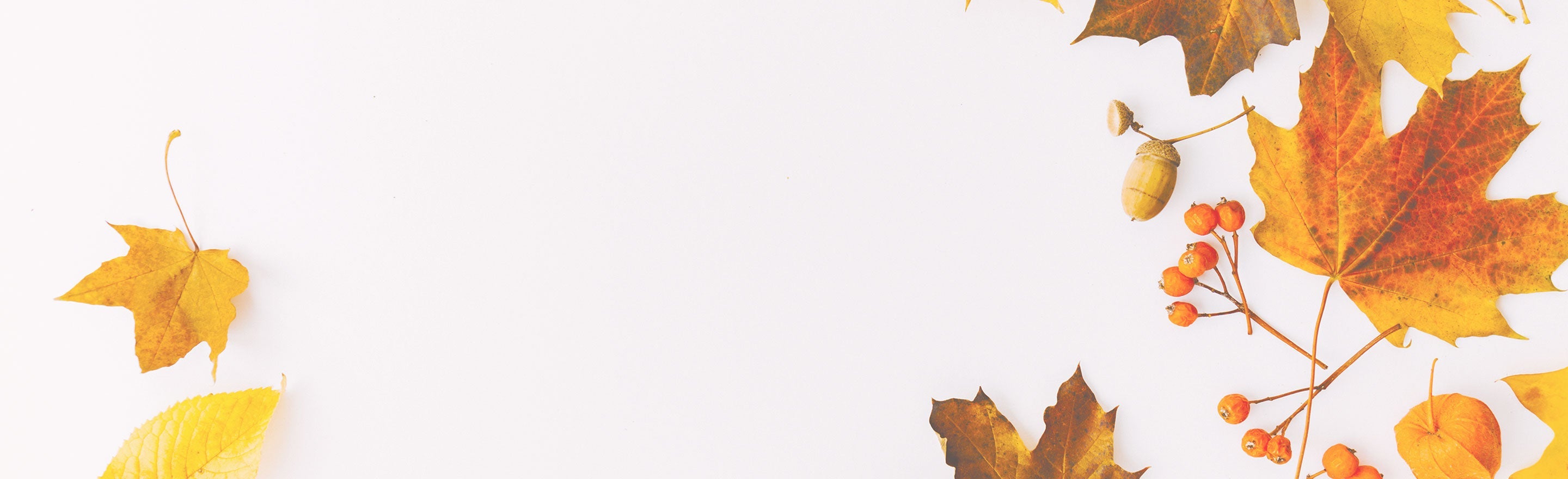 Fall Arrivals | 2025